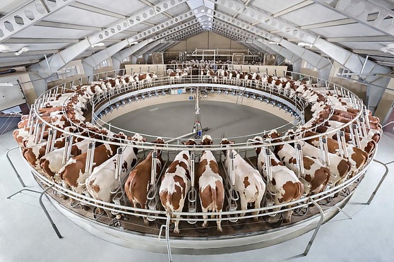 Производитель молочных продуктов «Вкуснотеево» на 32% увеличил эффективность работы на одного сотрудника
